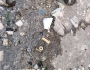 exarcheia011.jpg